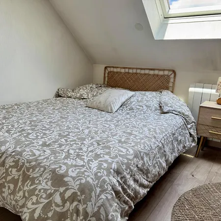 Maison Familiale 4p 10 Min Strasbourg Centre * Schiltigheim